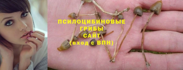 PSILOCYBIN Медногорск