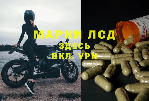 PSILOCYBIN Медногорск
