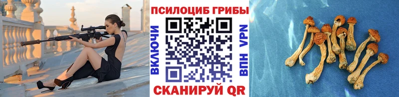 Галлюциногенные грибы Psilocybe Ахтырский